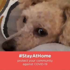 Meet your Posher, Annie